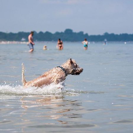 Zur-Alten-Schmiede-I-Links Boltenhagen  Buitenkant foto