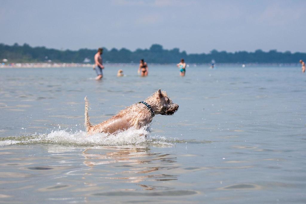 Zur-Alten-Schmiede-I-Links Boltenhagen  Buitenkant foto